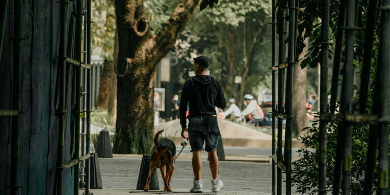 A man walks his dog through a wooden gate in La Condesa, the greenest area of Mexico City