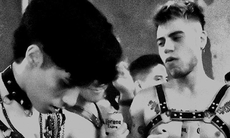 Gay cruising clubs in Mexico City